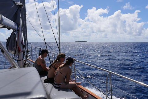 Ocean Free Green Island & Great Barrier Reef Snorkel Cruise, Cairns 25 Guests - Pubs Sydney 4