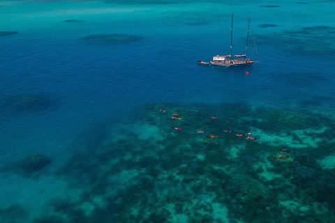 Ocean Free Green Island & Great Barrier Reef Snorkel Cruise, Cairns 25 Guests - Pubs Sydney 5