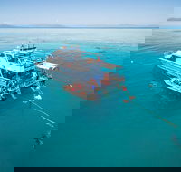 Ocean Freedom Great Barrier Reef Personal Luxury Snorkel  Dive Cruise Cairns - Pubs Sydney