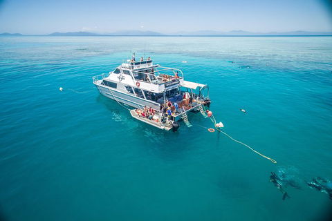 Ocean Freedom Great Barrier Reef Personal Luxury Snorkel & Dive Cruise, Cairns - Pubs Sydney 0