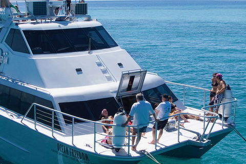 Ocean Freedom Great Barrier Reef Personal Luxury Snorkel & Dive Cruise, Cairns - Pubs Sydney 1