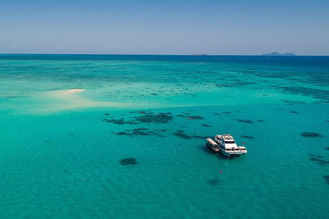 Ocean Freedom Great Barrier Reef Personal Luxury Snorkel & Dive Cruise, Cairns - Pubs Sydney 2
