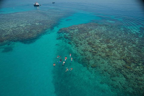 Ocean Freedom Great Barrier Reef Personal Luxury Snorkel & Dive Cruise, Cairns - Pubs Sydney 3