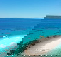 Ocean Safari Great Barrier Reef Experience in Cape Tribulation - Pubs Sydney