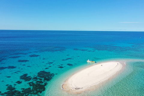 Ocean Safari Great Barrier Reef Experience In Cape Tribulation - Pubs Sydney 0