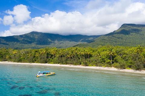 Ocean Safari Great Barrier Reef Experience In Cape Tribulation - Pubs Sydney 2