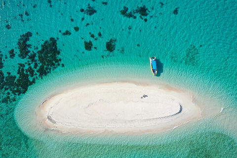 Ocean Safari Great Barrier Reef Experience In Cape Tribulation - Pubs Sydney 3