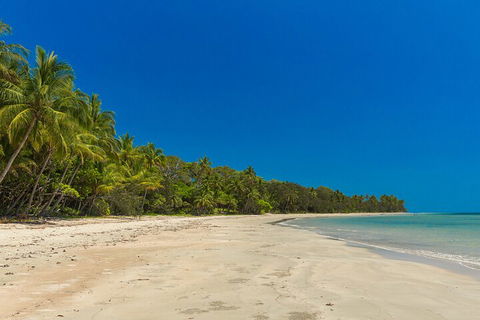 Ocean Safari Great Barrier Reef Experience In Cape Tribulation - Pubs Sydney 4