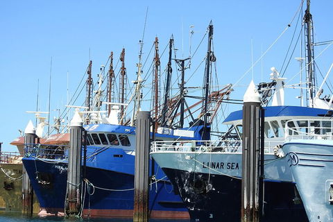 One Day Port Lincoln Tour - Tasting Eyre - Pubs Sydney 0