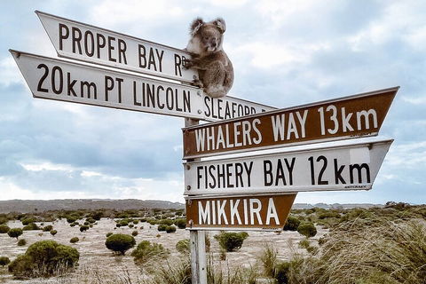 One Day Port Lincoln Tour - Tasting Eyre - Pubs Sydney 2