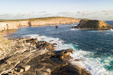 One Day Port Lincoln Tour - Tasting Eyre - Pubs Sydney 3