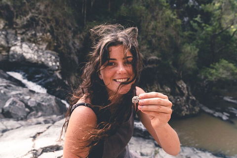Springbrook AndTamborine Rainforest Tour Incl Natural Bridge And Glow Worm Cave - Pubs Sydney 1
