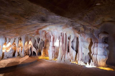Springbrook AndTamborine Rainforest Tour Incl Natural Bridge And Glow Worm Cave - Pubs Sydney 4