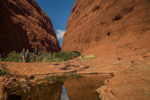 4 Day/3 Night Perentie Dreaming Safari - Pubs Sydney 3