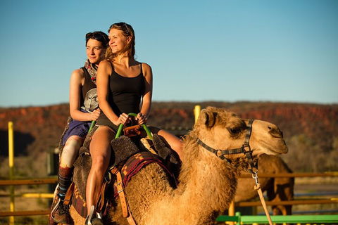 4 Day/3 Night Perentie Dreaming Safari - Pubs Sydney 4