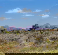 Overnight Uluru Ayers Rock Small-Group Camping Tour - Pubs Sydney