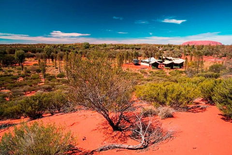 Overnight Uluru (Ayers Rock) Small-Group Camping Tour - Pubs Sydney 2
