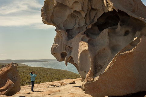 Kangaroo Island In A Day Tour From Adelaide - Pubs Sydney 5