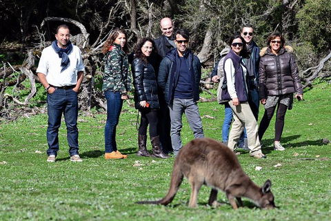 2-Day Kangaroo Island 4WD Small-Group Tour From Adelaide - Pubs Sydney 1