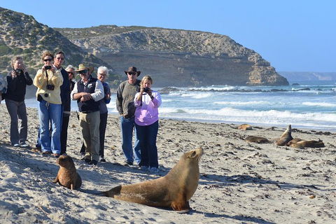2-Day Kangaroo Island 4WD Small-Group Tour From Adelaide - Pubs Sydney 3