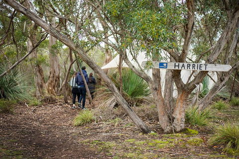 2-Day Kangaroo Island 4WD Small-Group Tour From Adelaide - Pubs Sydney 5