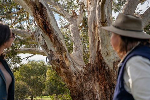 NEW TOUR - Kangaroo Island Road To Recovery Tour (1 Day/1 Night) - Pubs Sydney 0