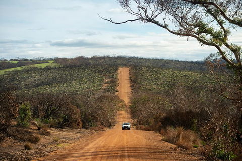 NEW TOUR - Kangaroo Island Road To Recovery Tour (1 Day/1 Night) - Pubs Sydney 2