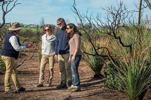 NEW TOUR - Kangaroo Island Road To Recovery Tour (1 Day/1 Night) - Pubs Sydney 4