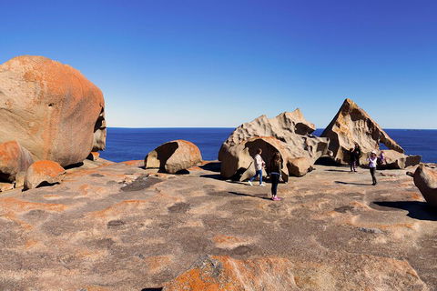Full-Day Kangaroo Island Experience Departing From Kangaroo Island - Pubs Sydney 4