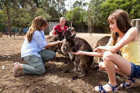 Full-Day Kangaroo Island Experience Departing From Kangaroo Island - Pubs Sydney 5