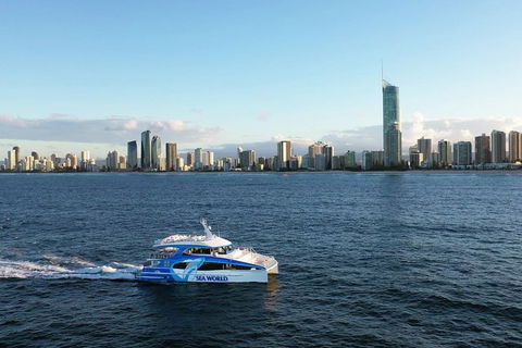 Whale Watching By Sea World Cruises - Pubs Sydney 1