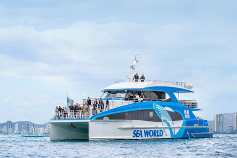 Whale Watching By Sea World Cruises - Pubs Sydney 3