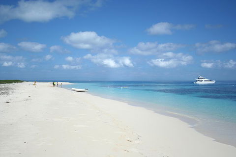 Seastar Luxury Outer Great Barrier Reef Island And Reef Tour From Cairns - Pubs Sydney 3