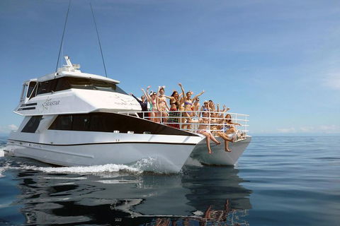 Seastar Luxury Outer Great Barrier Reef Island And Reef Tour From Cairns - Pubs Sydney 4