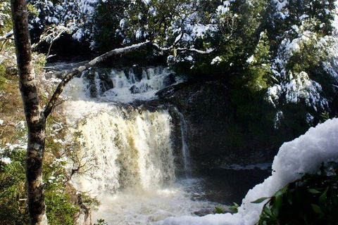 Cradle Mountain Day Tour From Launceston Including Lunch - Pubs Sydney 0