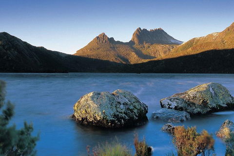 Cradle Mountain Day Tour From Launceston Including Lunch - Pubs Sydney 2