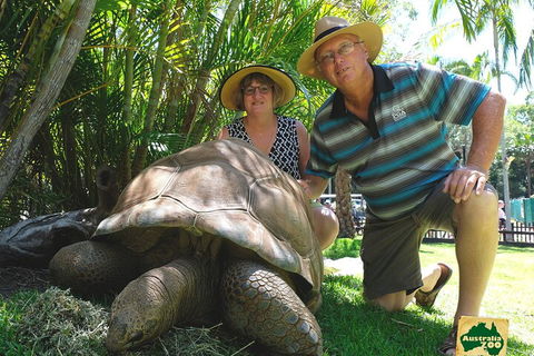 Small-Group Australia Zoo Day Trip From Brisbane - Pubs Sydney 1