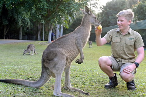 Small-Group Australia Zoo Day Trip From Brisbane - Pubs Sydney 4