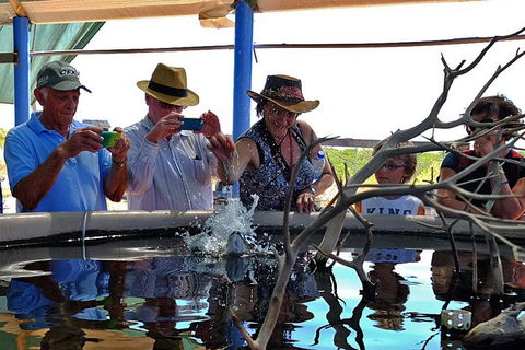 Cape Leveque 4WD Tour From Broome With Optional Return Flight - Pubs Sydney 0