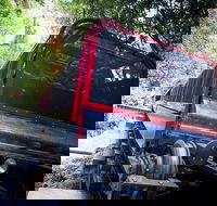 Blue Mountains Hop-on Hop-off Tour with Optional Scenic World Rides - Pubs Sydney