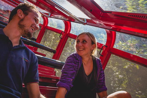 Blue Mountains Hop-on Hop-off Tour With Optional Scenic World Rides - Pubs Sydney 5