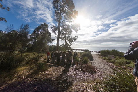 Bruny Island Day Tour, Includes Lunch And Exclusive Lighthouse Tour - Pubs Sydney 5