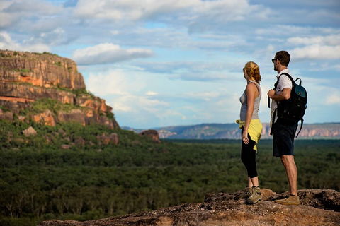 Kakadu National Park Wildlife And Ubirr Rock Art Tour From Darwin City - Pubs Sydney 3