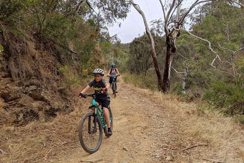 Mount Lofty Descent Bike Tour From Adelaide - Pubs Sydney 0