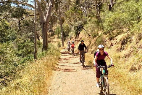 Mount Lofty Descent Bike Tour From Adelaide - Pubs Sydney 3
