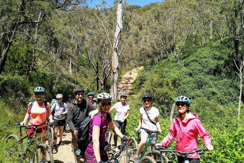Mount Lofty Descent Bike Tour From Adelaide - Pubs Sydney 5