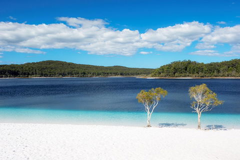 All-Inclusive Fraser Island Day Tour - Pubs Sydney 3