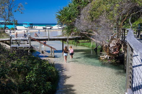 All-Inclusive Fraser Island Day Tour - Pubs Sydney 4