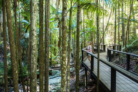 All-Inclusive Fraser Island Day Tour - Pubs Sydney 5