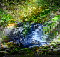 Day Tour in Mt. Field Mt. Wellington Bonorong Wildlife Sanctuary and Richmond - Pubs Sydney